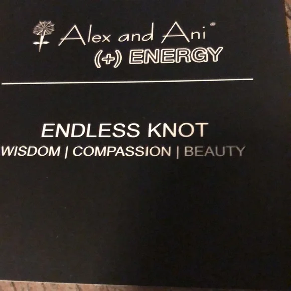 Alex And Ani Charm Bracelet - Endless Knot - Picture 4 of 5